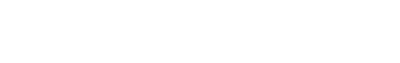 DIRTE
